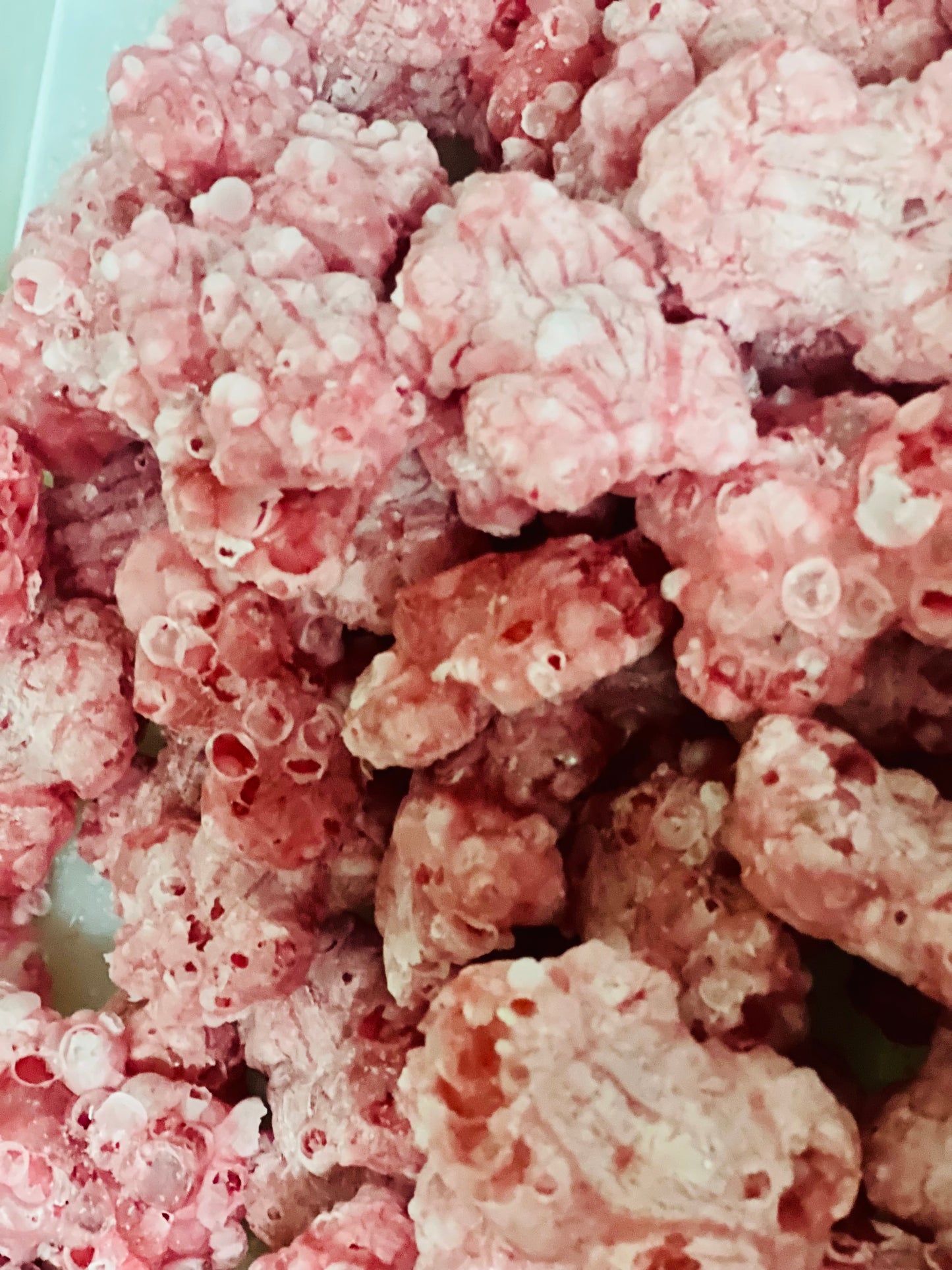 Red frogs